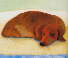 David Hockney Dachshund sleeping dog print in 11 x 14 mount ready to frame (17)
