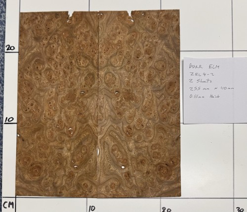 Burr elm real - wood, 2
