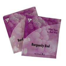 2 x YOUNG'S Burgundy Red Wine