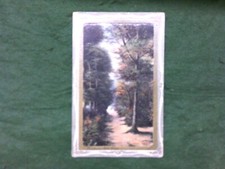 WINCHMORE HILL London The woods with border