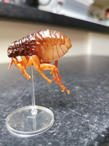 Kaiyodo human flea - kaiyodo,