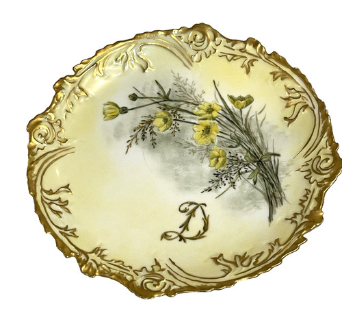 Rare limoges plate raised - rare,