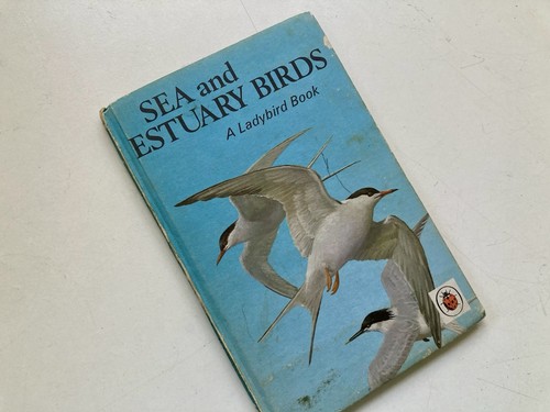 Ladybird book sea and - book,