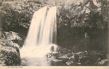 CAMPSIE GLEN - POSTCARD