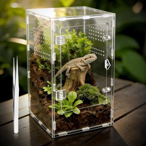 Jumping spider enclosure - jumping,