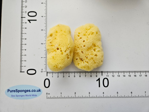 Natural sea sponge - ,, fine