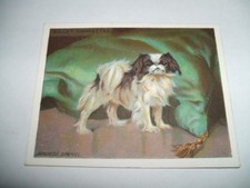 Wills Cigarette Card - Dogs