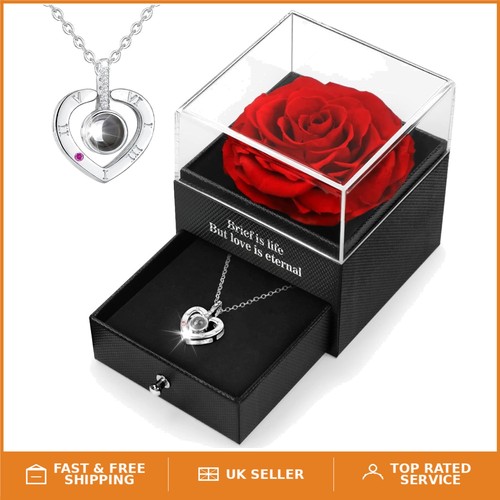 Exquisite preserved real - exquisite, rose