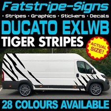 Fits fiat ducato - fits, graphics