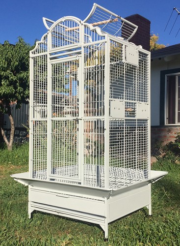 Large elegant bird - 63",