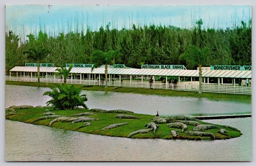 Gatorland orlando florida - orlando,