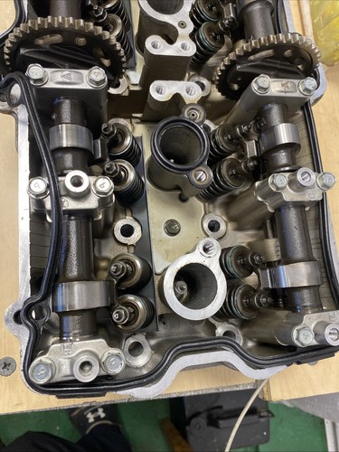 Genuine suzuki bandit - bandit, gsf600