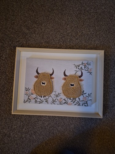 Highland cow picture - highland, very
