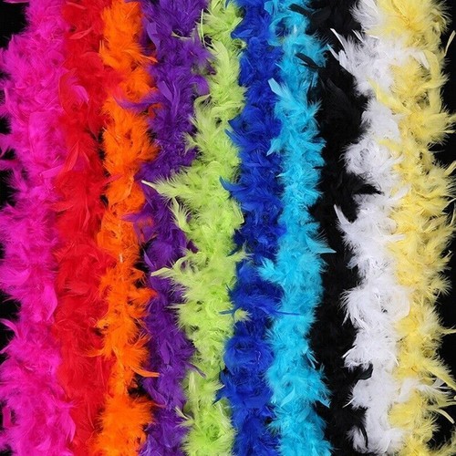 Feather boa accessory - 2m, boa·accessory