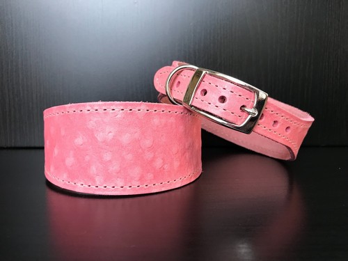Medium leather dog - medium,