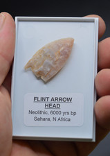 1 HIGH GRADE DAMAGED