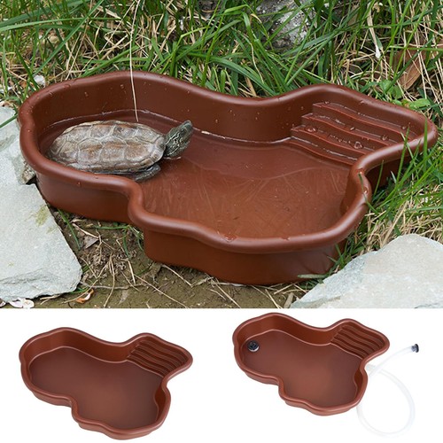 Reptile bathing pool - bathing,