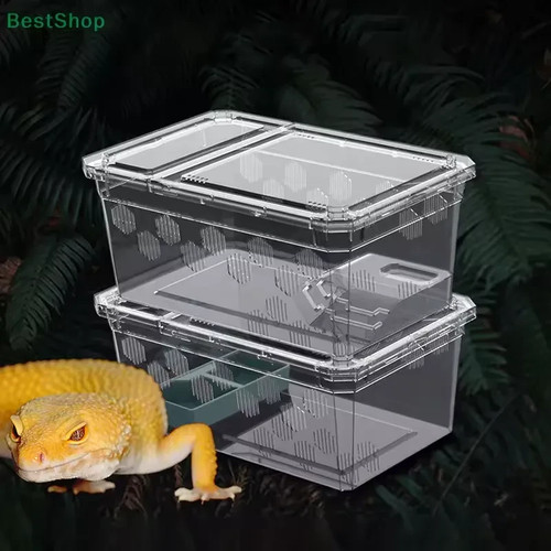 Reptile breeding box - reptile,