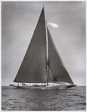 ROSENFELD COLLECTION | Ranger