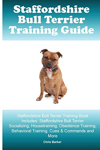 Staffordshire bull terrier - staffordshire,
