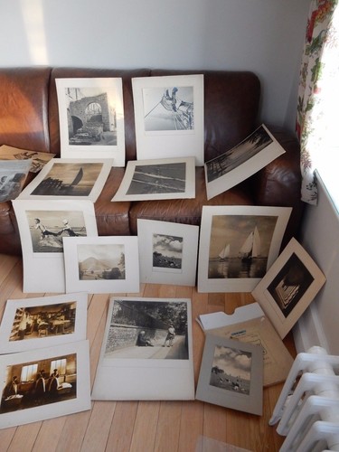 Taylor rps photographers - rps,