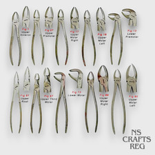 Pro Dental Extraction Forceps