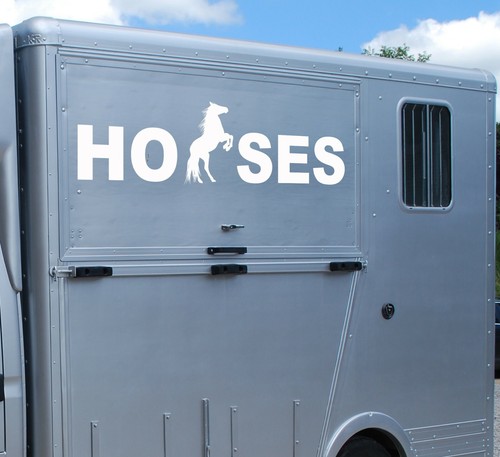 Horse trailer horsebox - trailer,