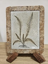 Vintage Botanical Fern Ceramic