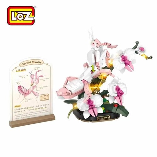 Loz orchid mantis - orchid,