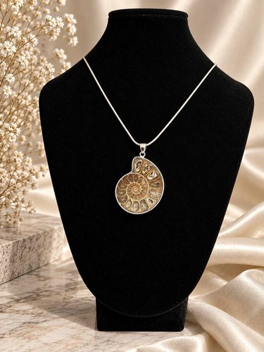 Vintage ammonite fossil - vintage,