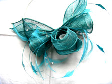 Ladies  Attractive Turquoise