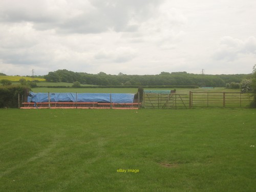 Photo 12x8 cross - photo, horse