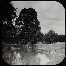 Glass Magic Lantern Slide TREES BY RIVER C1890 OLD VICTORIAN PHOTO 