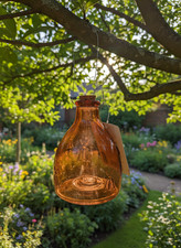 Glass Wasp Trap Small Hanging
