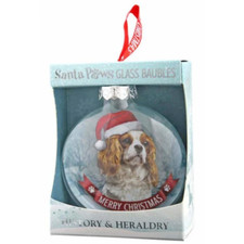 Cavalier King Charles Spaniel