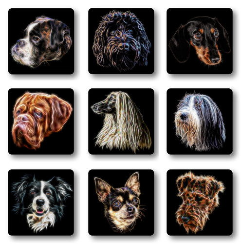 Dog coaster owner - coaster,,