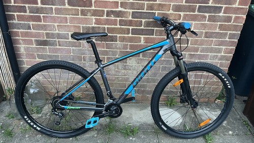 Giant talon 29in hardtail - giant, 2