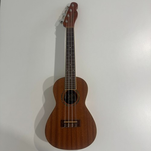 Fender mino aka concert - fender,