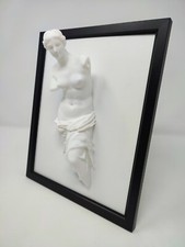 Framed Venus de Milo