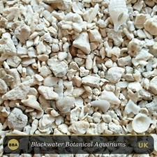 CRUSHED CORAL BUFFER /with