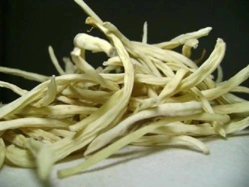 Organic safed musli - musli, white