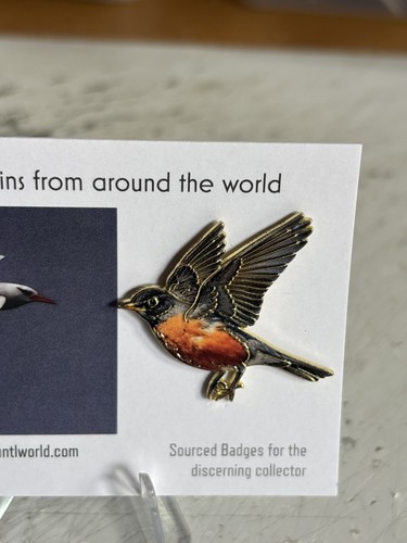 Rspb interest american - american, robin