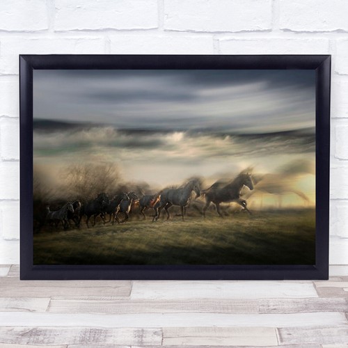 Gallop action horse horses - gallop,
