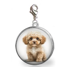 Apricot Poodle Puppy Dog Clip