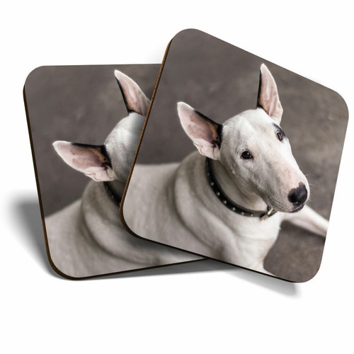 Coasters fun english - x,