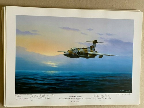 Squadron aviation art print - 15,