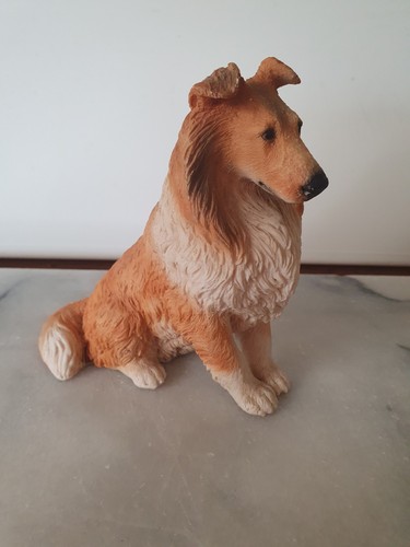 Castagna rough collie dog - castagna,