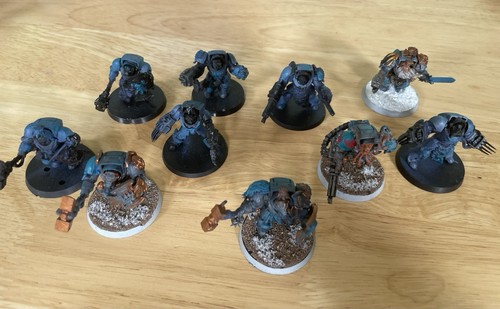 X10 space wolf terminators - wolf,