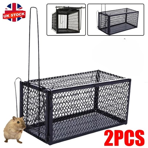 Pcs rat trap - 2, mouse
