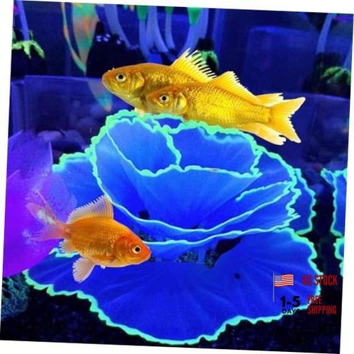 Besimple artificial coral - besimple,